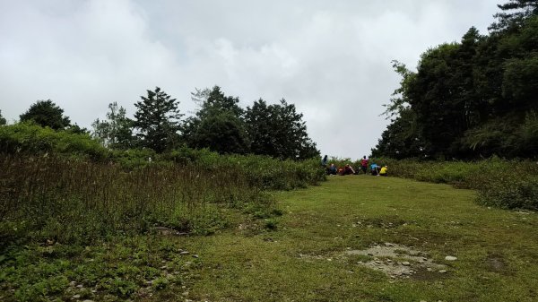 2025/7/12、7/13 西巒大山2839189