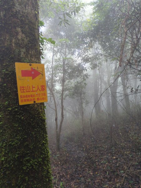 2025.07.13－漫步於森林中：鵝公髻山2835455