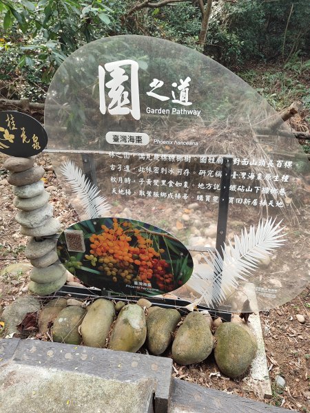 鐵砧山登山步道2931394