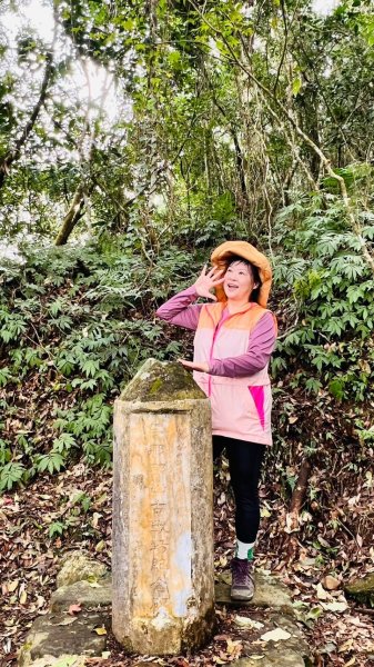 〽️12/25（三）聖誕節~楓紅了🍁~馬拉邦(小百岳)賞楓眺望聖稜線2676369