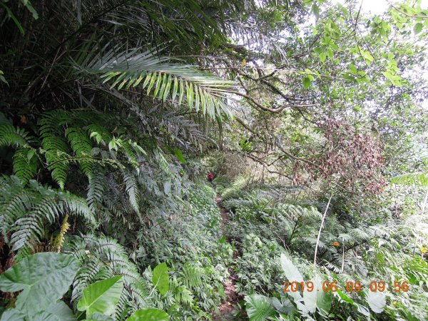 20190609_月扇湖山841475