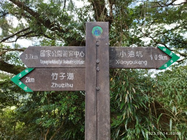 環七星山人車分道~陽金公路段...2218221