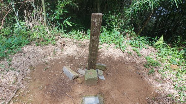 雲嘉九連峰1438959