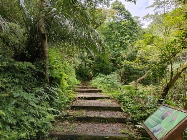 基隆市荖寮坑古道+十分古道(暖東舊道)+頂子寮山(嶺頭土地公)P字走2821492