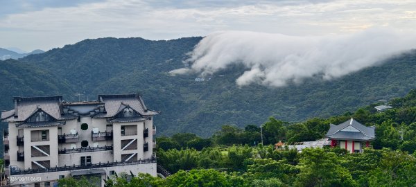 #雲瀑 #藍腹鷴 8/113101496
