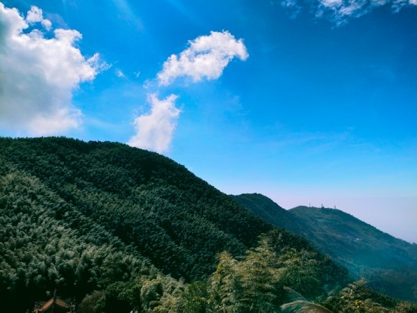 雲嘉連峰2365716