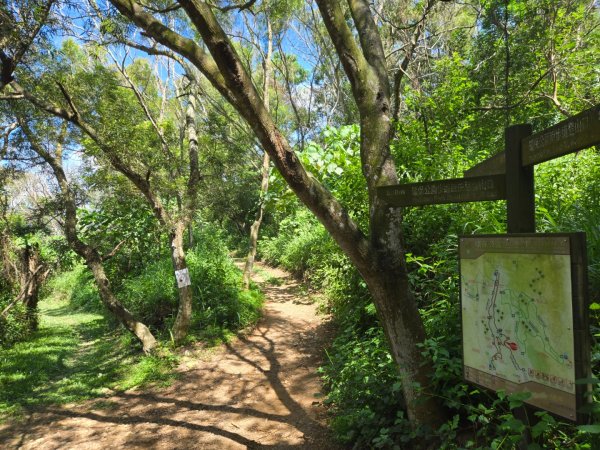大肚環保公園3081848