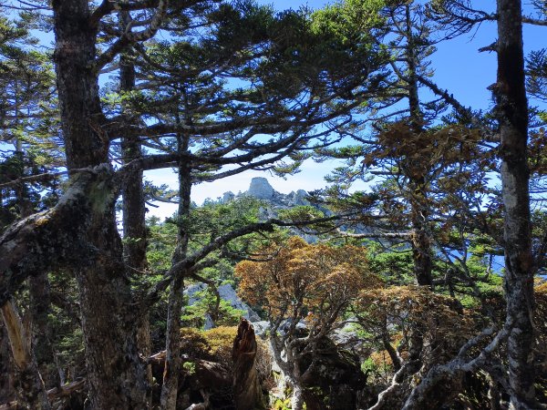 北一段(09/14)南湖東南峰 2025_0906~132887058