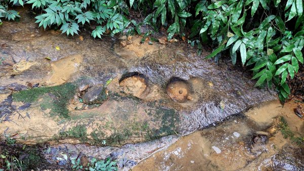 基隆八上七下縱走2785121