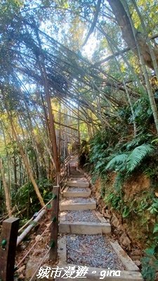 【南投魚池】後尖山步道2968300