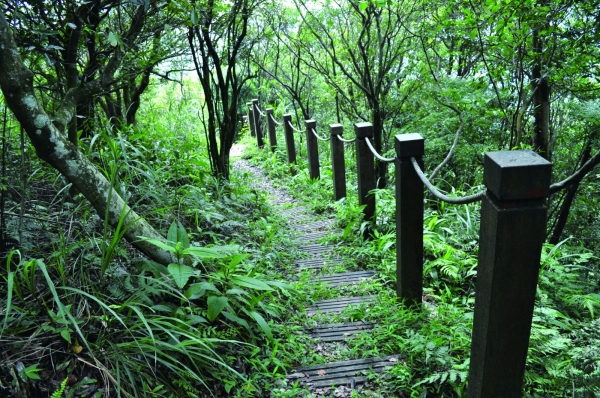 【書摘】《大台北自然步道100（2）》－耳空龜山