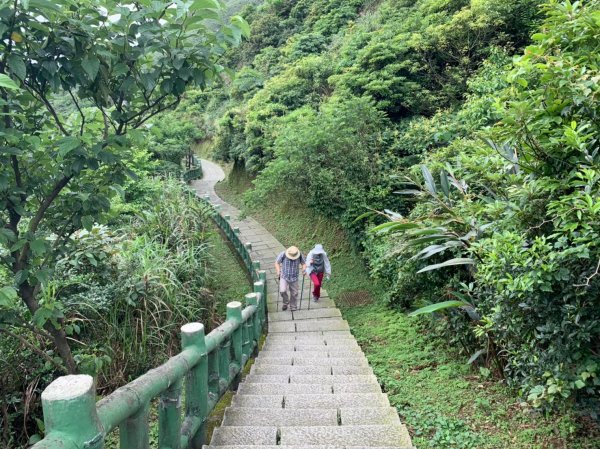 新北｜瑞芳 無耳茶壺山步道1488112