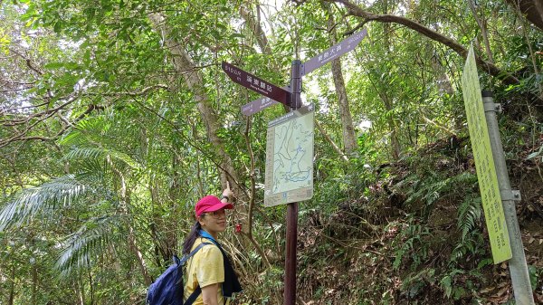 (姨婆趴趴走)第十七集:基隆暖東峽谷環山遊憩步道健走2228409