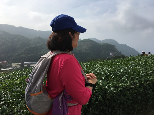 雲嘉三連峰257919