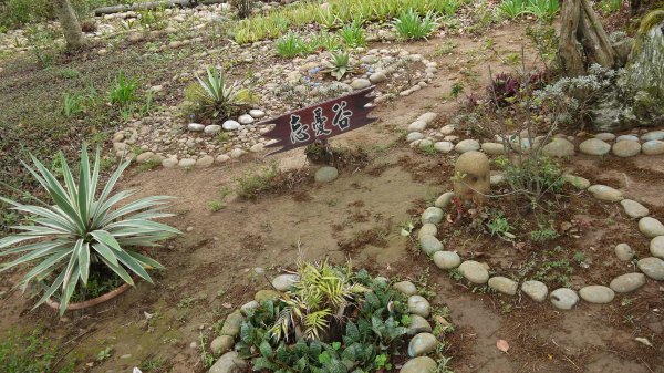 竹坑南寮步道登山健行趣(步道)1561532