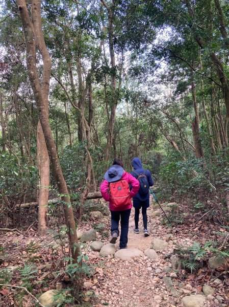 火炎山登山步道2386039