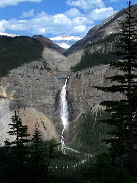 Iceline Trail (YOHO 加拿大幽鶴國家公園)2634591