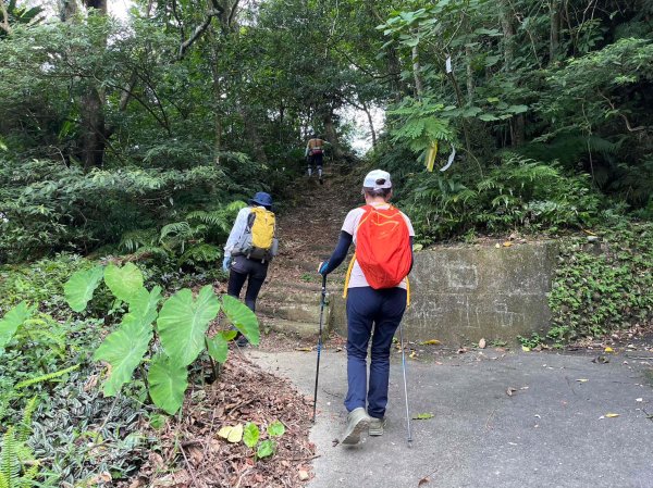 台北市 文山區 猴山岳2722119