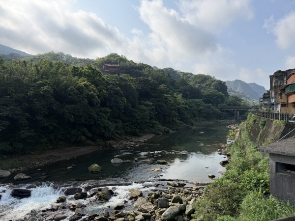 2026_0412 鐘萼木賞花 - 淡蘭國寶樹3035279