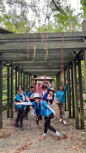 大湖公園→大溝溪生態治水園區→圓覺寺步道→圓覺瀑布→圓覺寺→鯉魚山步道【臺北大縱走 4、臺北健走趣】2849057