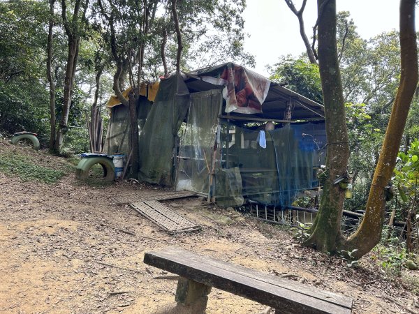 羊稠森林步道3020902