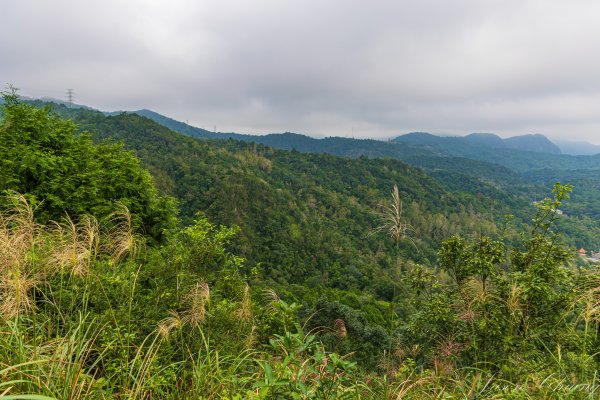 [宜蘭]鵲子山2932537