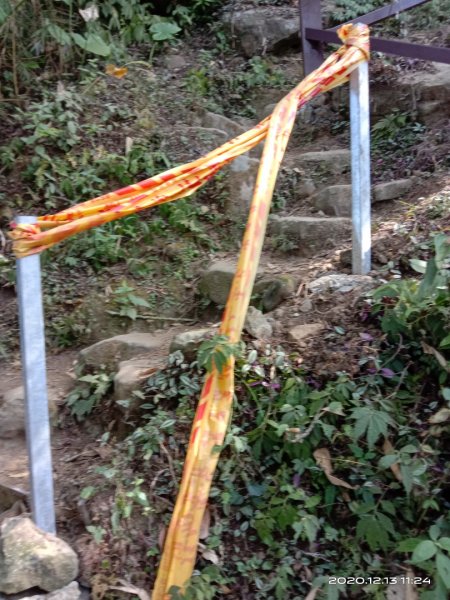  步道巡訪員 l 崁頭山步道12月份巡禮1204916