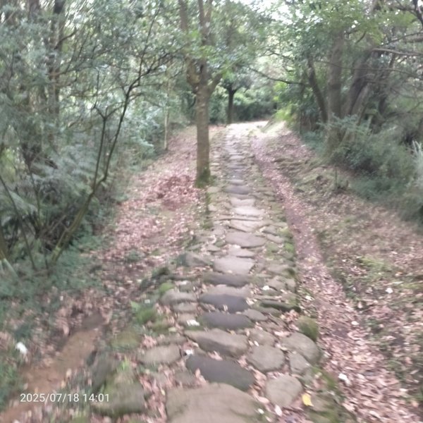 绢絲瀑布步道2840512