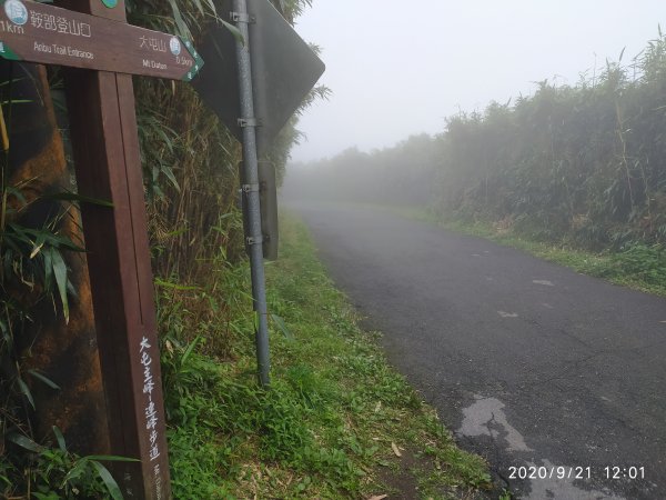 大屯山主峰步道+大屯坪+二子坪步道O形線1111403