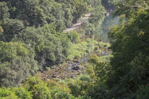 闊瀨古道-沿北勢溪谷而行的夏末之旅（淡蘭古道）2287604