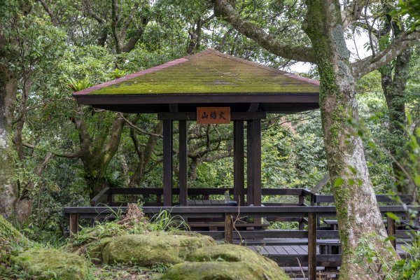 土城 火焰山3058208