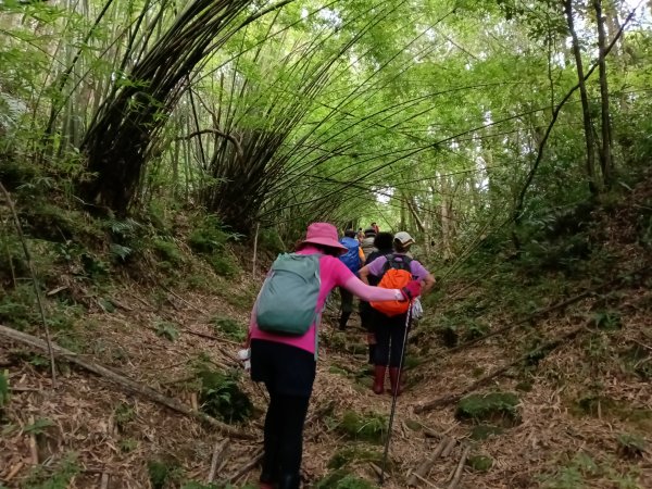 雙溪區大湖尾古道+灣潭古道O型