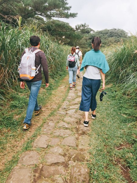 台北陽明山 - 絹絲步道446844