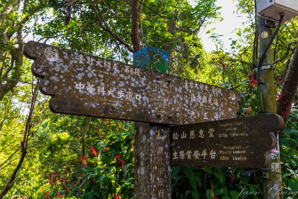 [台北]虎山親山步道、九五峰、南港山2911316