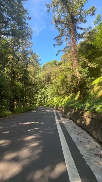 新竹橫山-大崎棟步道2619173