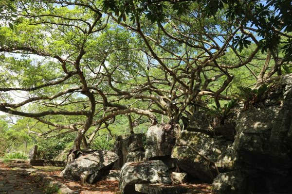 〔頭城〕北關海潮公園 一線天。單面山 豆腐岩 小海岬 巖頂。不可思議 古砲竟然不見了2259050