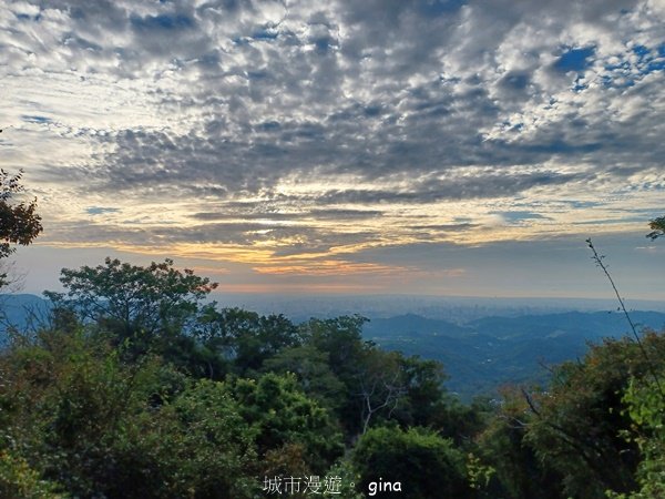 【台中北屯】第一次遇上大坑步道群起霧。 大坑三號步道2695144