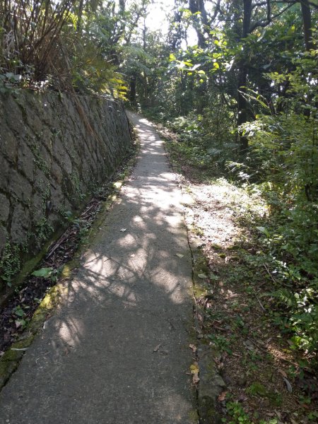 貓空隨意行［樟湖步道、待老坑山、杏花林、明德宮、樟山寺］及政大小坑溪親水文學步道(2021/4/6)1417878