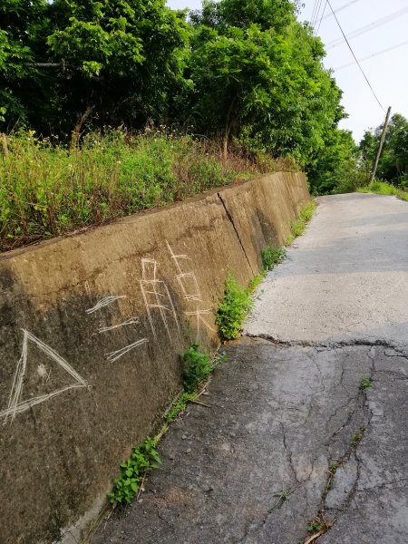 散步賞景。編號46小百岳~阿罩霧山752802