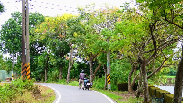 茶山步道,鎮南橋,鴉片菸潭,通學古道封面