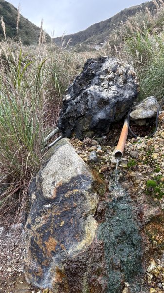 漫遊陽明山2951937