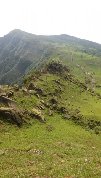 2021/04/01桃源谷大溪+草嶺福隆連走1332092