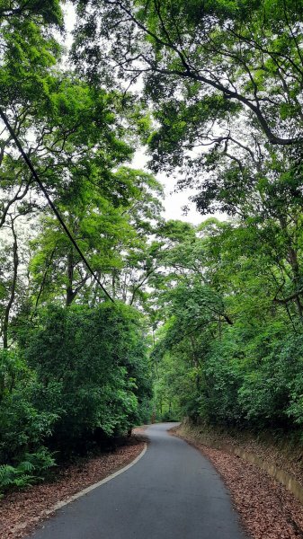 《苗栗》挑炭古道｜三通嶺探長潭坑山大坑尾山二連峰O繞202204171678486