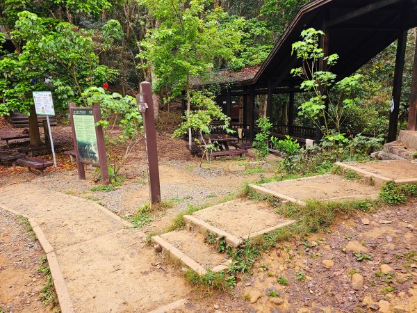 小百岳集起來-關仔嶺大凍山2185147