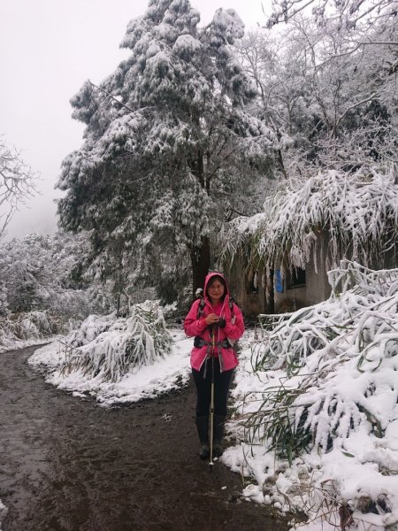 冰雪奇緣歷險記～加羅湖（未盡）1237669