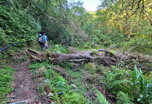 【淡蘭古道中路】崩山坑古道全段＆虎豹潭野餐2572636