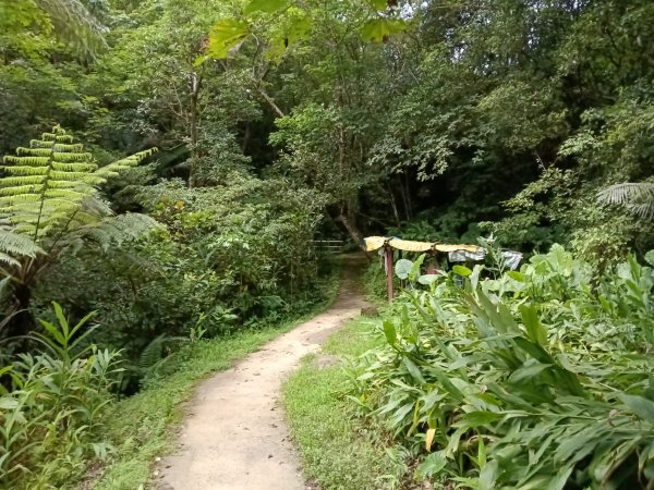 平溪區平溪子山遇雷雨O型2850087