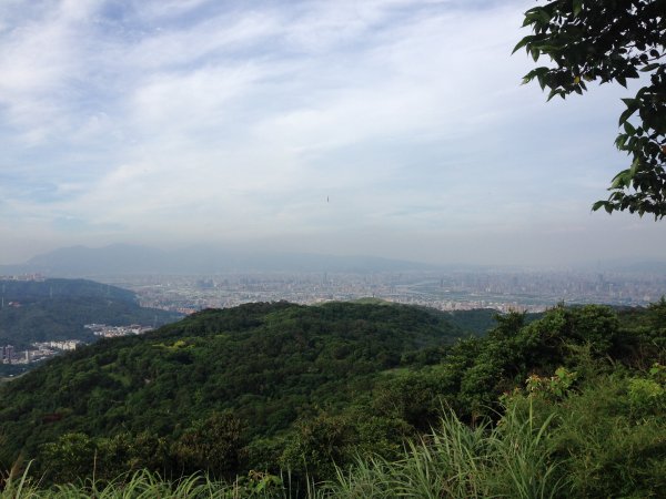 2015.06.18樹林大棟山1003395