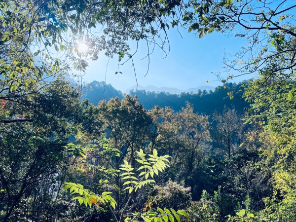 20241230 台中谷關捎來步道2739158