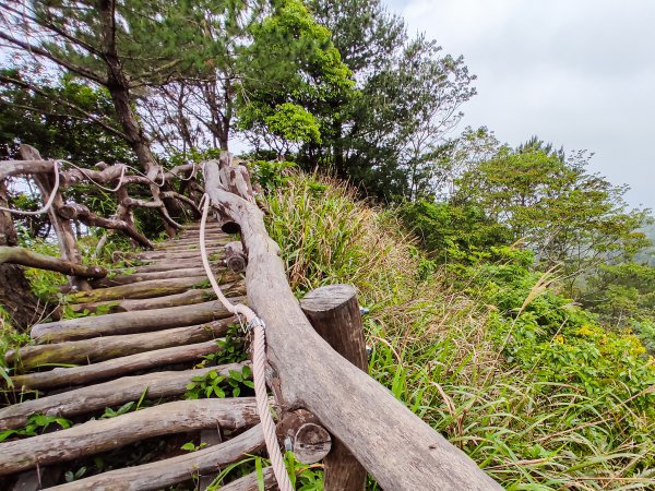 大坑3號登山步道1684752